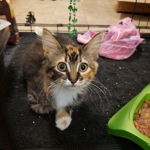 Meet your Posher, Logan